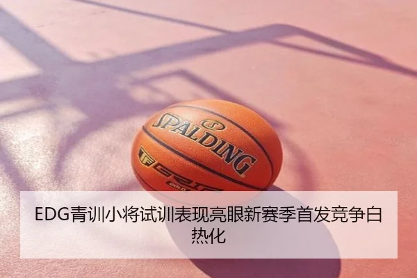 EDG青训小将试训表现亮眼新赛季首发竞争白热化